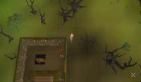 tree-detection-2 project thumbnail