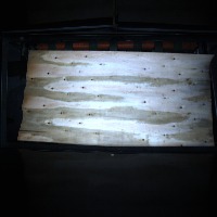 wx project thumbnail