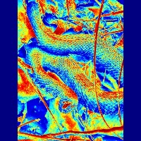 Snake detecting system Object Detection Model by SNAKE DETECTING SYSTEM