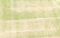 sawah padi project thumbnail
