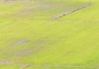 petak sawah project thumbnail