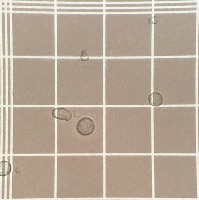 object detection white and red blood cell Object Detection Model by ...