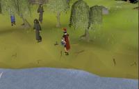 OSRS-MainlySP Willow Trees project thumbnail
