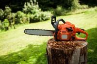 Chainsaw and human detection project thumbnail