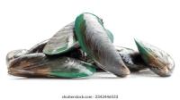 Shellfish_Abnormalities_Continue project thumbnail