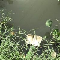trash-type-detection project thumbnail