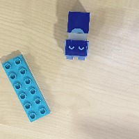 Dataset Image