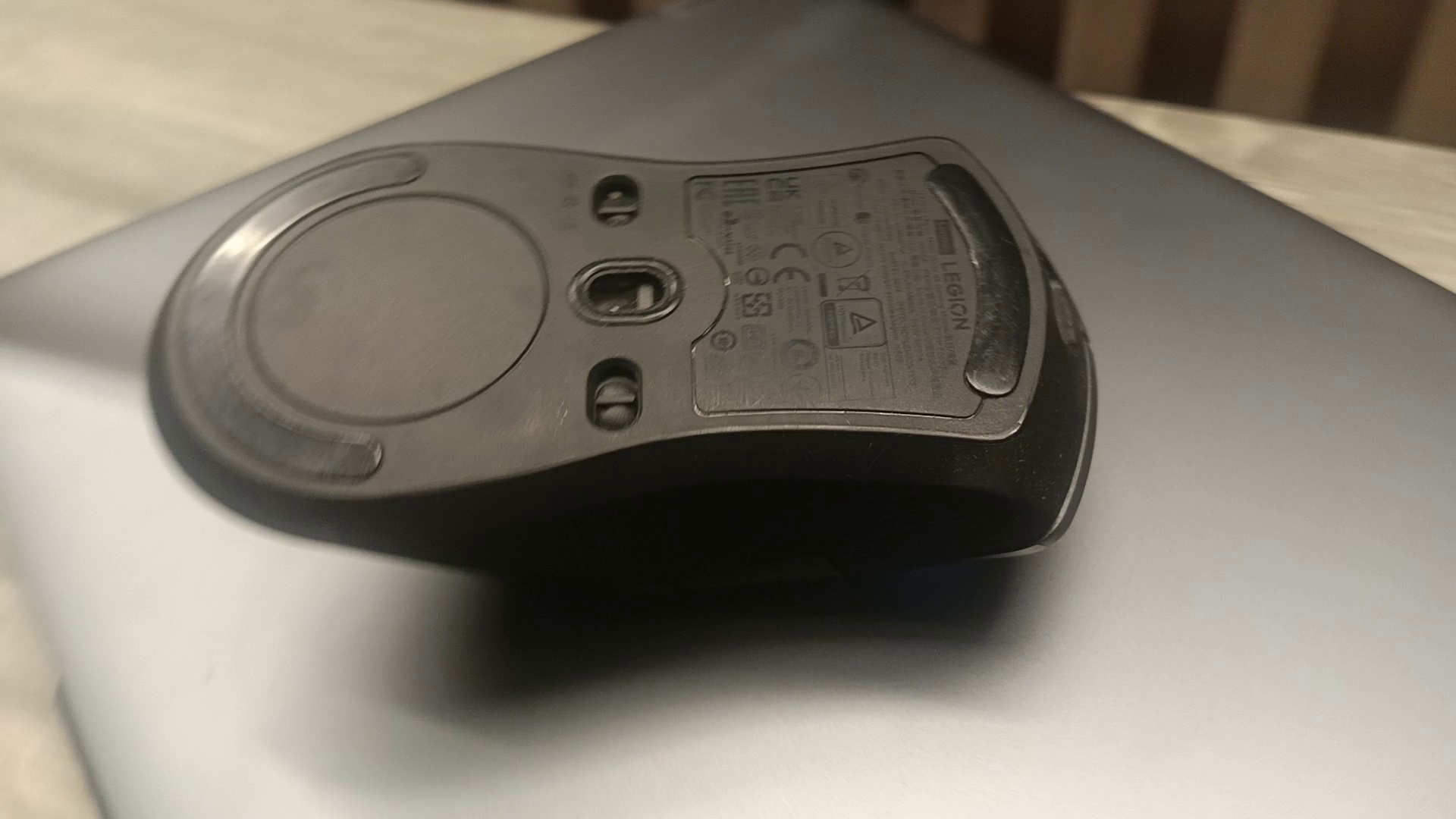 Mouse Object Detection mouseLegion Object Detection Model by Brienals Workspace