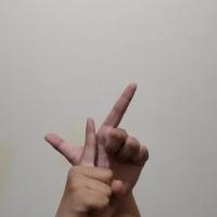 BISINDO project thumbnail