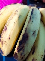 Barangan Banana Segmentation project thumbnail