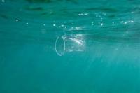 microplastics detection in water project thumbnail