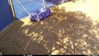 NEG_wolf_pool_detection project thumbnail