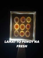 Balut Eggs Project (Unfertilized, Fertilized, and Reject) project thumbnail