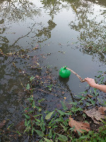 Red Green Balls project thumbnail