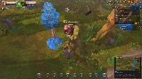Dataset Image