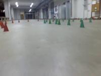 Find cones, reds and greens project thumbnail