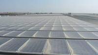 sujidade_338 project thumbnail