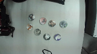 catData project thumbnail