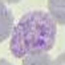 malaria project thumbnail