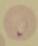 detect_Chromatin project thumbnail