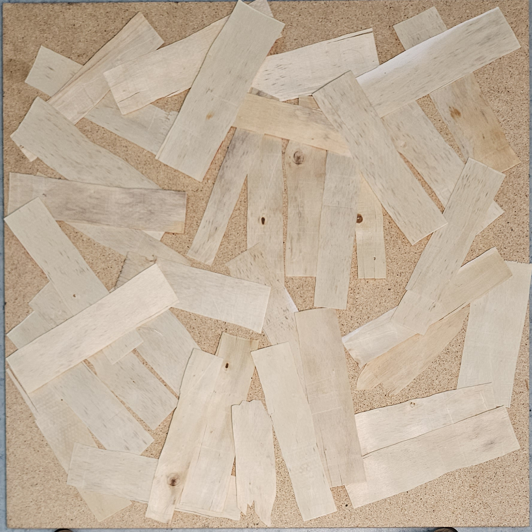 Oriented strand board Instance Segmentation Model by IamWu555