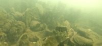 Dataset(v1-5) project thumbnail