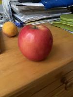 test-manzana-limited project thumbnail
