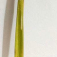 Paddy Leaf Disease Hispa Pt.01 project thumbnail