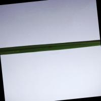 Paddy Leaf Diseases Segmentation | Already Augmented project thumbnail