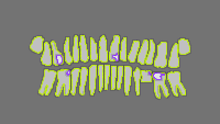 Annotation Visualization