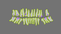 Annotation Visualization