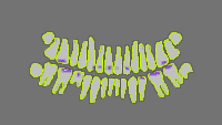 Annotation Visualization