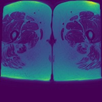 blad_seg project thumbnail