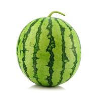 Pendeteksi Melon dan Semangka project thumbnail