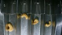 cashew sorter v1.1 project thumbnail