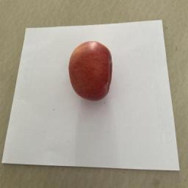apple Object Detection Dataset by apple