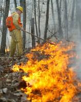 Fire Detection project thumbnail
