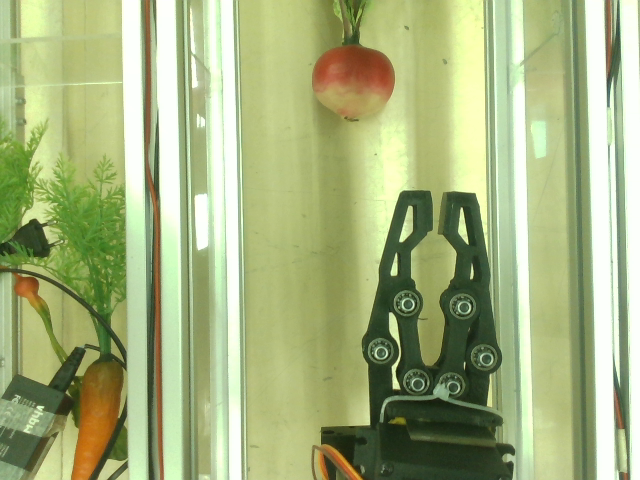 Agrobot crops 01 Object Detection Dataset by Agrobot test