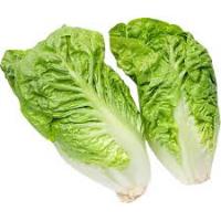 Lettuce V6 project thumbnail