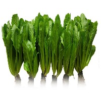 Lettuce Detection project thumbnail