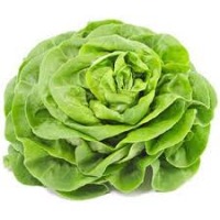 Lettuce V5 project thumbnail