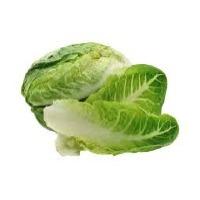 Lettuce V2 project thumbnail
