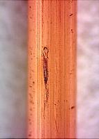 copper_defects_detection project thumbnail
