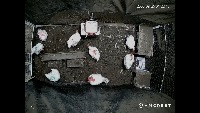 Estimate project thumbnail