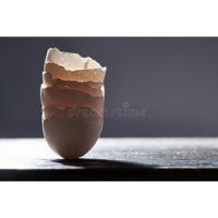 foodwaste project thumbnail