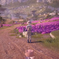 Dataset Image