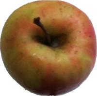apple_nomal project thumbnail