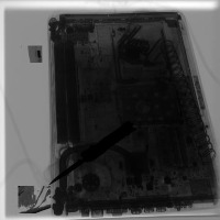 Dataset Image