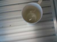 cup project thumbnail
