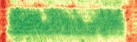 NDVI project thumbnail